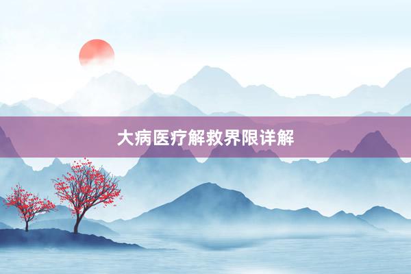 大病医疗解救界限详解